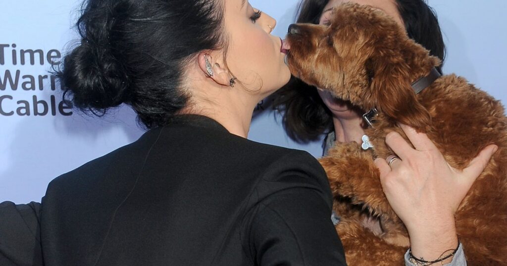 Katy Perry präsentiert den Haarschnitt ihres Hundes