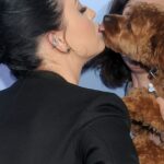 Katy Perry präsentiert den Haarschnitt ihres Hundes