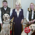 Königin Camilla feiert die Arbeit medizinischer Spürhunde
