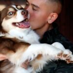 Liebe auf den ersten Blick für Tourist und North Carolina Shelter Dog