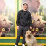 Mark Wahlberg liebt Hunde-Co-Star aus „Arthur der König“