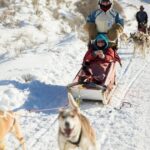Nach 23 Jahren kehrt das Hundeschlittenrennen nach Camp Hale zurück