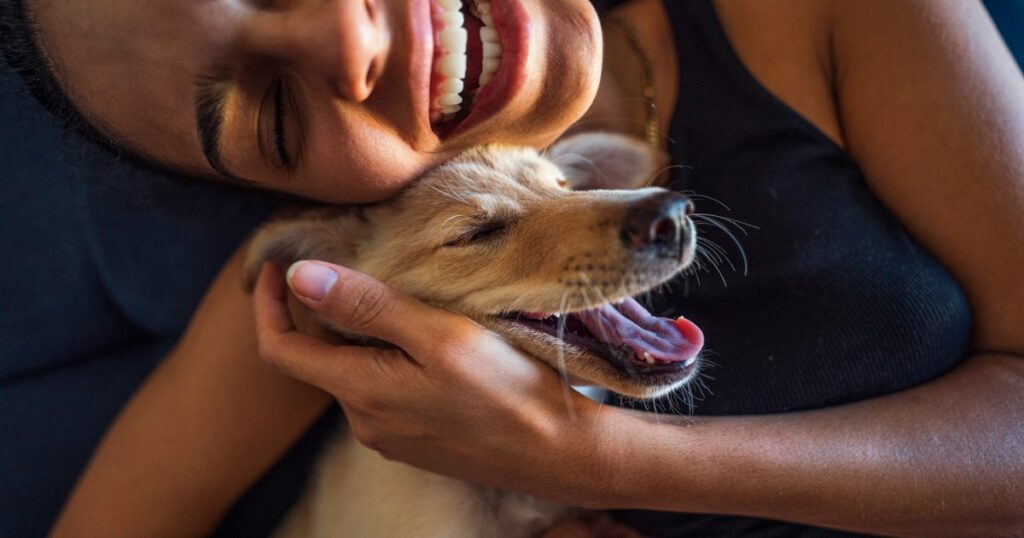 Neue Studien zeigen, dass KI Sie mit Ihrer perfekten Hunderasse zusammenbringen könnte