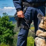 Polizeihunde, die speziell für die Suche nach Ertrinkungsopfern ausgebildet wurden, stärken die britischen Streitkräfte