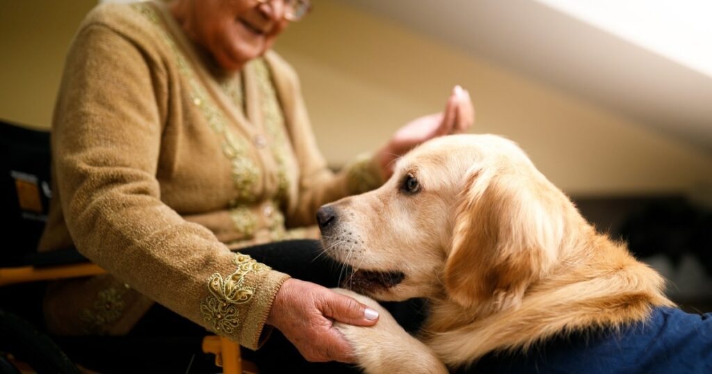 Therapiehundebesuche haben eine „monumentale“ Wirkung auf Pflegeheimbewohner