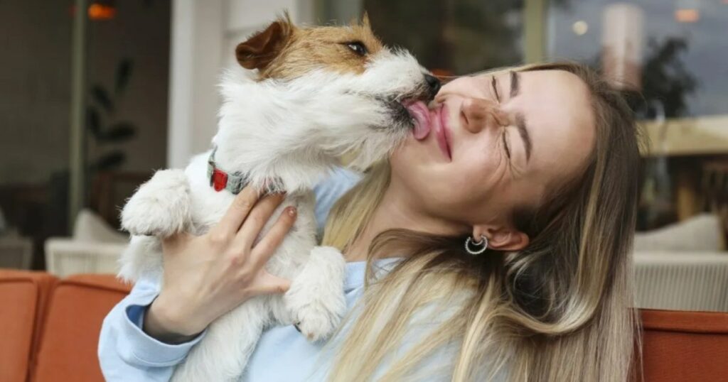 TikTok macht sich über Generationsunterschiede bei Hundeeltern lustig