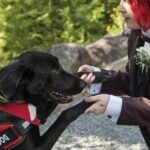 Wie ein Diensthund das Leben einer Frau veränderte