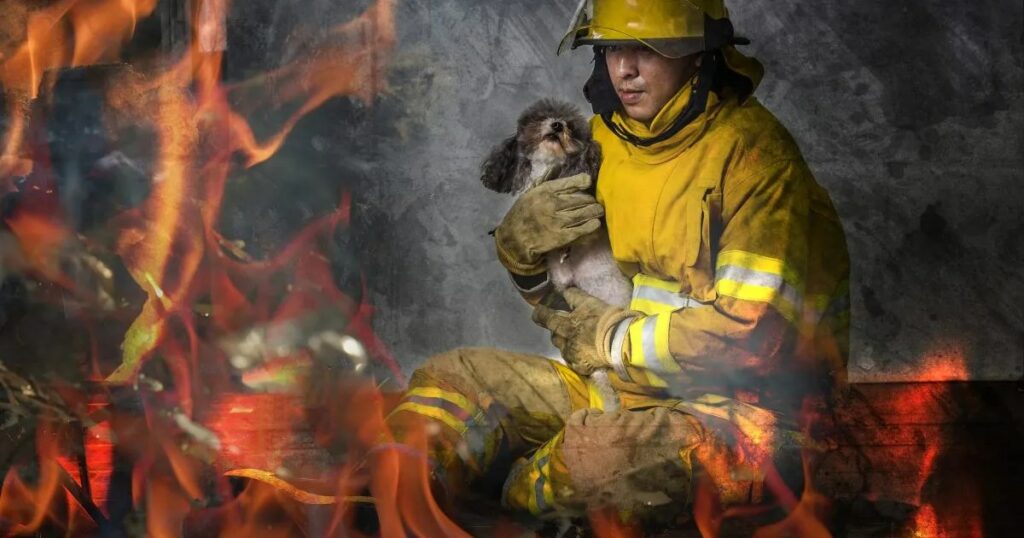 Geretteter Welpe „Smoky“ von Feuerwehrmann in Oregon adoptiert
