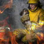 Geretteter Welpe „Smoky“ von Feuerwehrmann in Oregon adoptiert