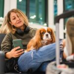 Virgin Australia heißt auf Inlandsflügen kleine Hunde in der Kabine willkommen