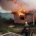 Mehr als 30 Hunde aus Hausbrand in Tennessee evakuiert