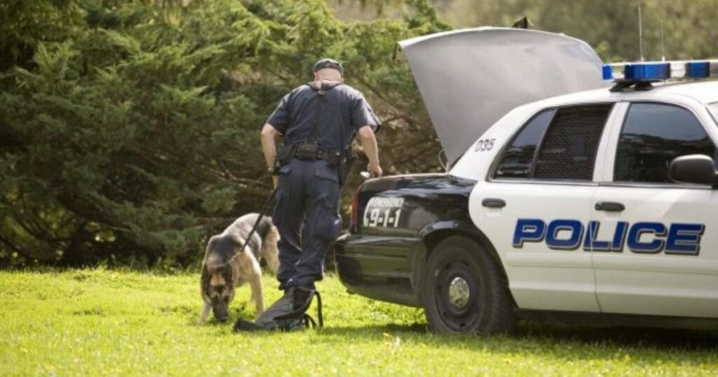 Polizeihund hilft bei der Suche nach vermisstem Kleinkind in Florida