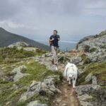 Mit Angelhaken gefüllte Hundeleckerlis auf Wanderweg gefunden